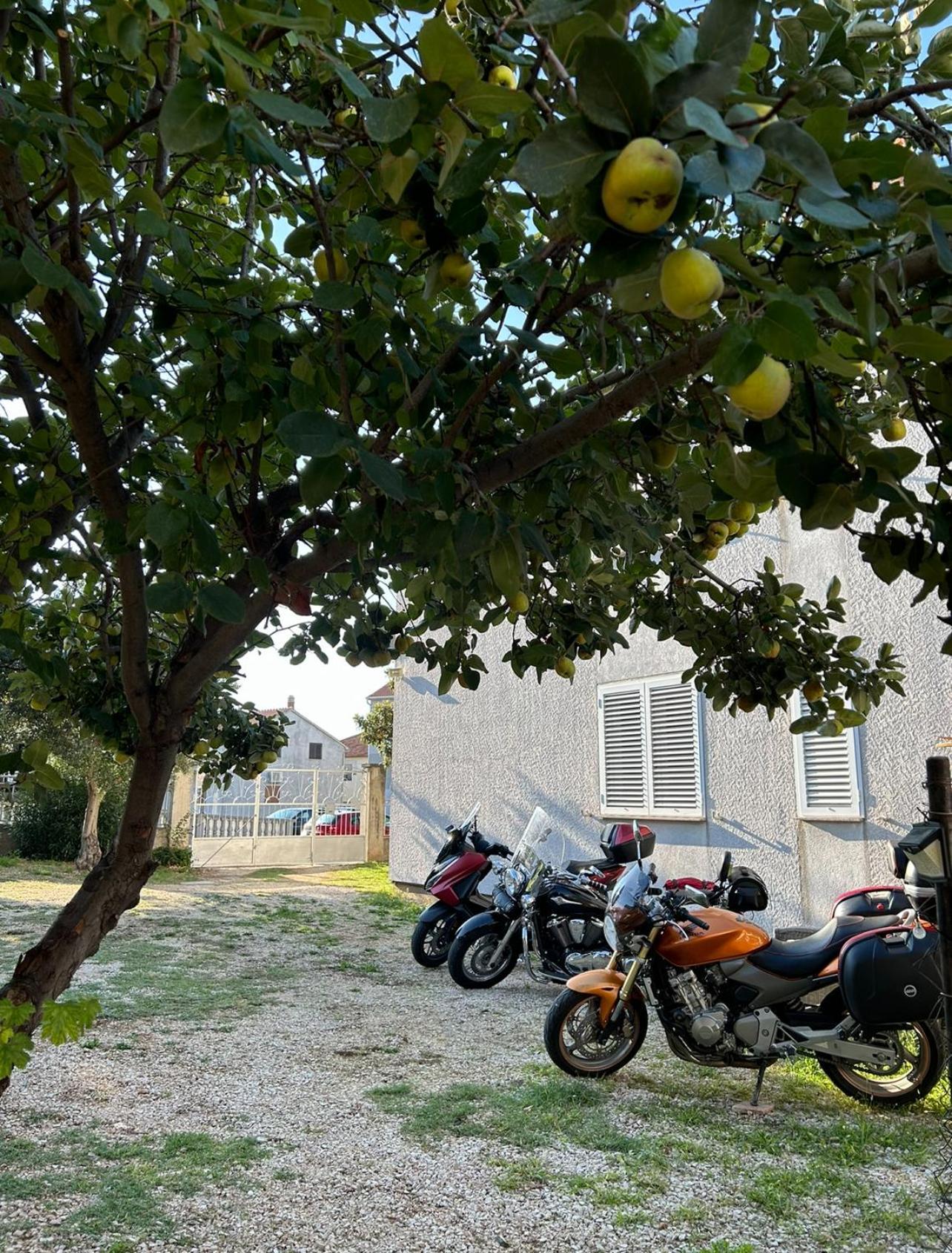 Villa Jadran Zadar Free Parking Sea View Exteriér fotografie